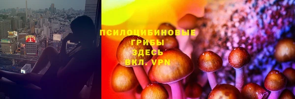 таблы Зеленодольск